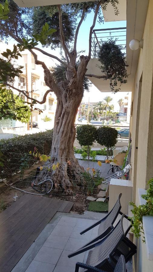 Paphos Kerynia Apartments מראה חיצוני תמונה