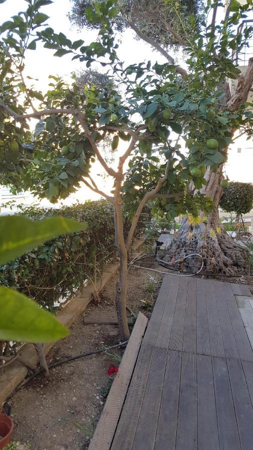 Paphos Kerynia Apartments מראה חיצוני תמונה