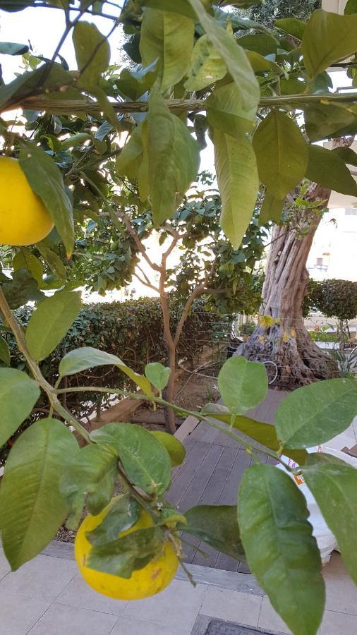 Paphos Kerynia Apartments מראה חיצוני תמונה